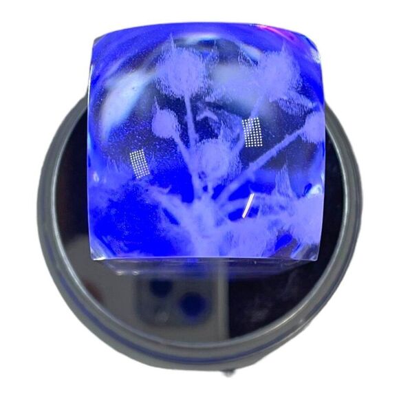 3D Laser Etched Crystal Flower Light Display Multicolor Changing Base Sculpture - Picture 7 of 12